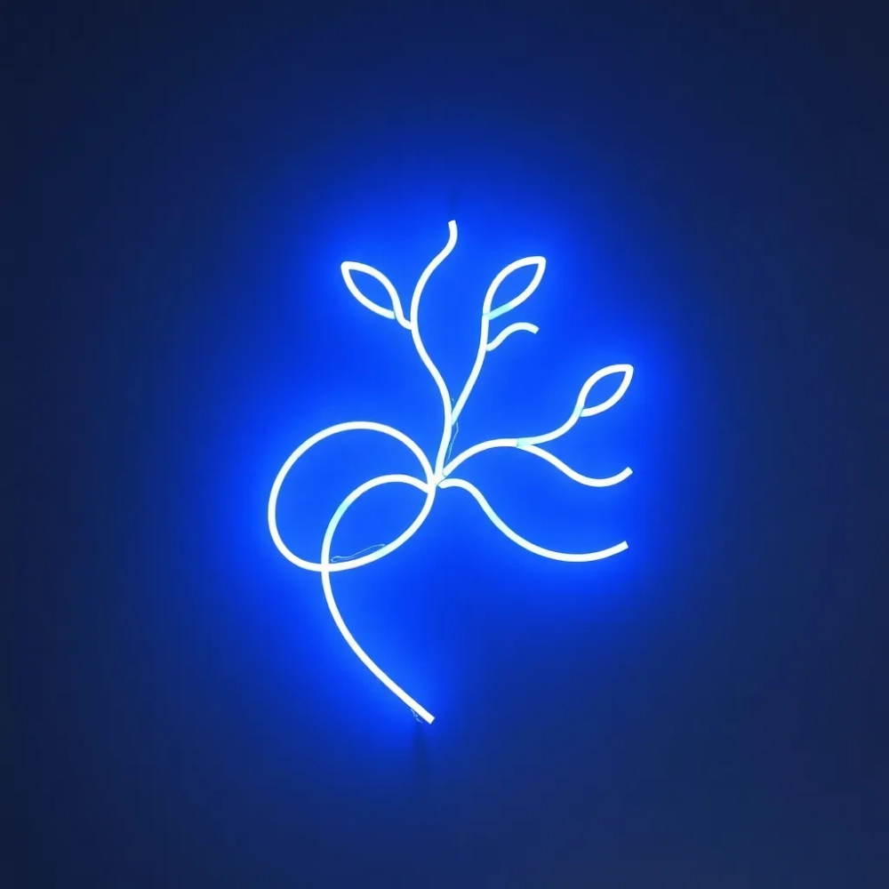 Neon na ścianę do pokoju