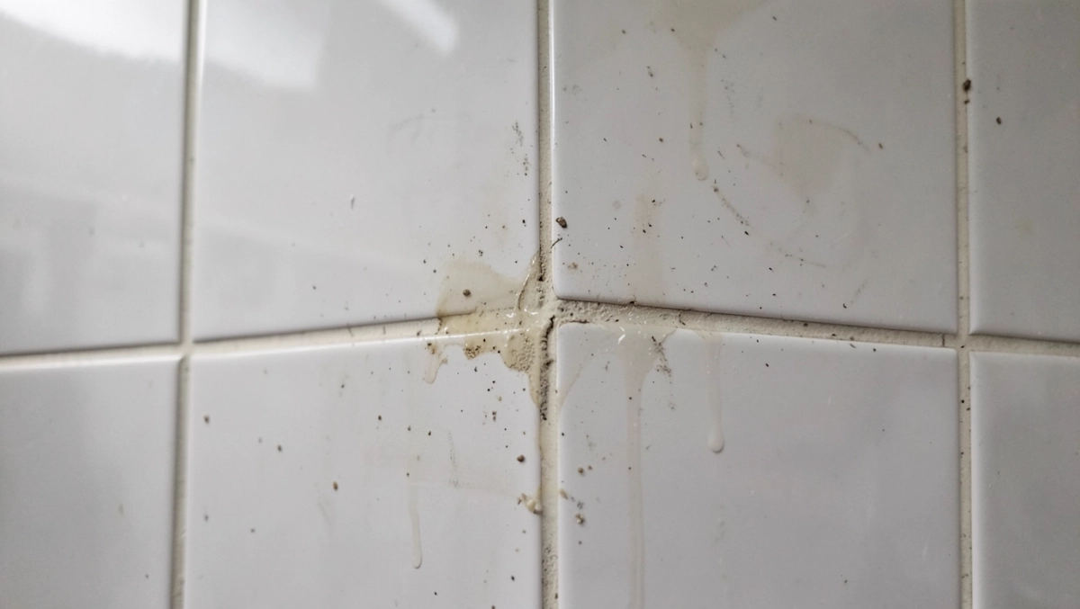 Czym myć płytki w łazience po remoncie