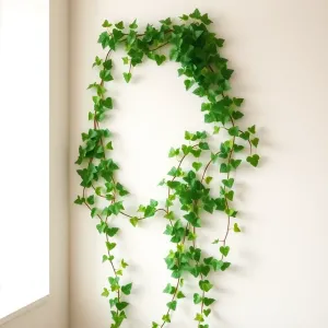 Bluszcz na ścianie w pokoju