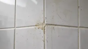 Czym myć płytki w łazience po remoncie