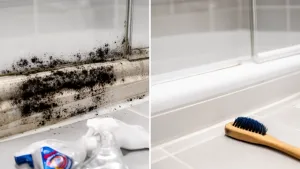 czyszczenie pleśni pod prysznicem