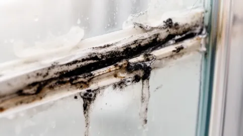 czyszczenie silikonu w kabinie prysznicowej