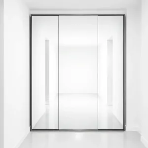 Duże lustro na ścianę do przedpokoju