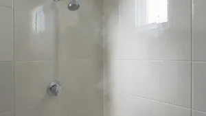 Farba olejną pod prysznic