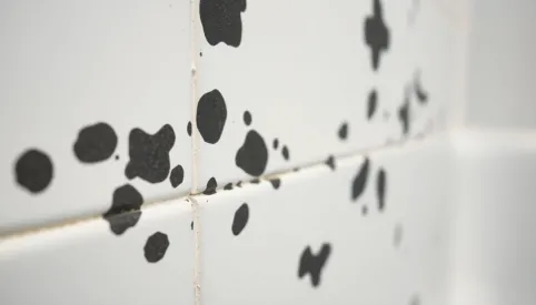 Jak usunąć pleśń z silikonu pod prysznicem domowe sposoby