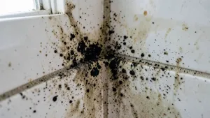 Jak wyczyścić bardzo brudne płytki w łazience