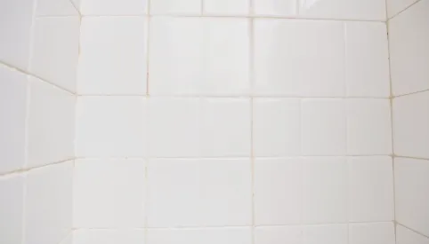 Jak wyczyścić fugi pod prysznicem