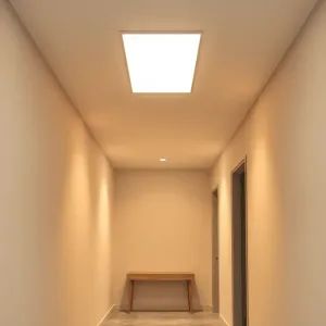 Oświetlenie przedpokoju na suficie
