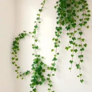 Pnącza na ścianie w pokoju